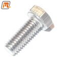 fuel injector bracket screw CVH 1,6i  97kW  (stainless steel)